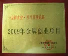 09年金牌創業項目 09年金牌創業項目